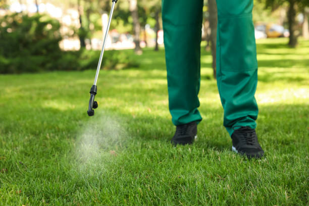 Best Mosquito Control Services  in King Arthur Park, MT