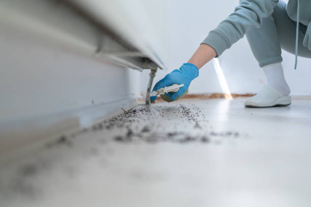 Best Residential Pest Control  in King Arthur Park, MT